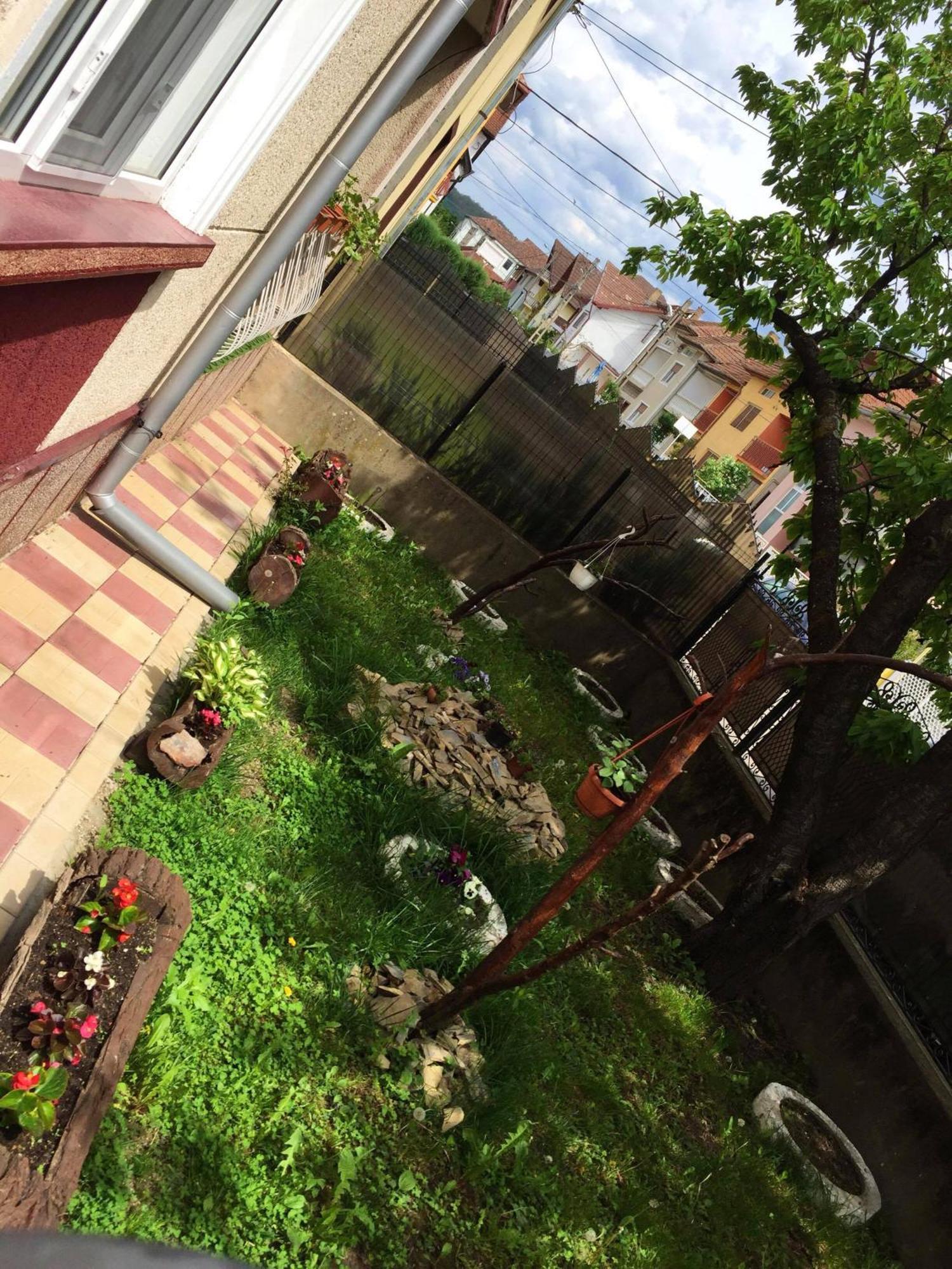 Haţeg Casa Mary酒店 外观 照片