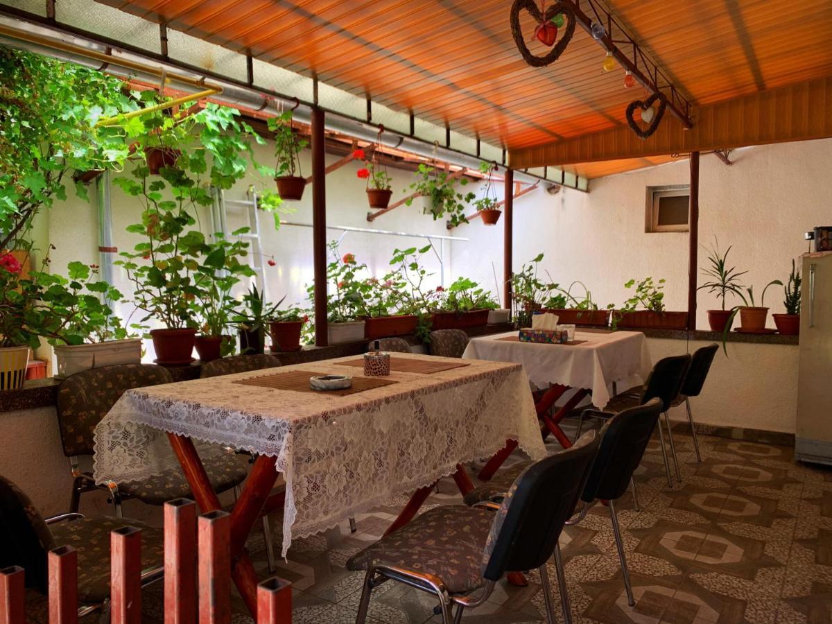 Haţeg Casa Mary酒店 外观 照片